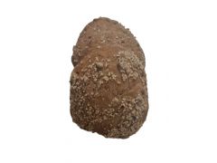 WURZELBRÖTLI R 85g